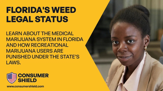 Is Weed Legal in Florida Medically or Recreationally? (2024)