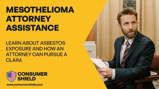 Mesothelioma Attorney Assistance For Asbestos Cases (2024)