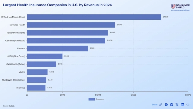 Largest Health Insurance Companies (2024)